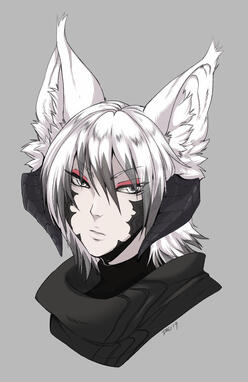 @StarDustShiba on Twitter!
